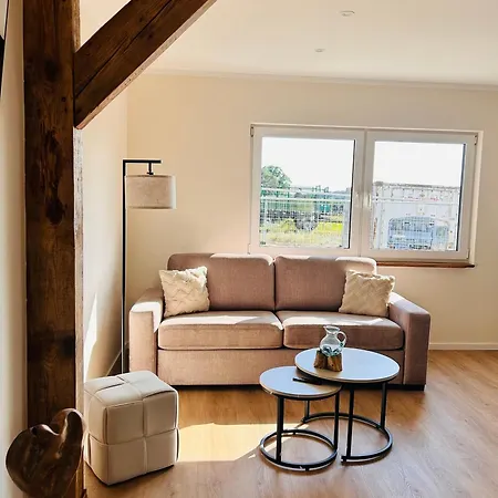Soldanski Apartment Loddin